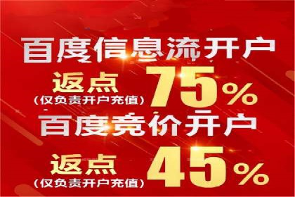 某电商平台的成功信息流代运营策略